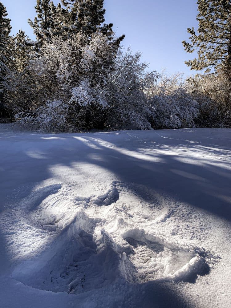 Tahoe Angel - 2020-12-01T00:00:00Z