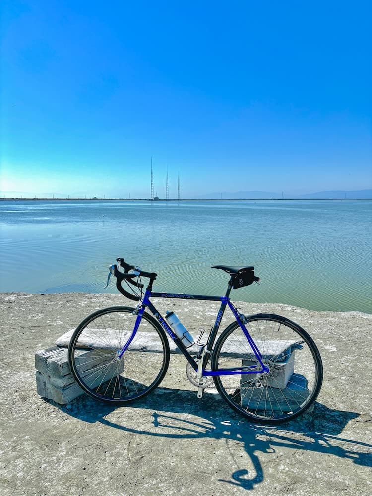 Bay Bike - 2024-07-01T00:00:00Z