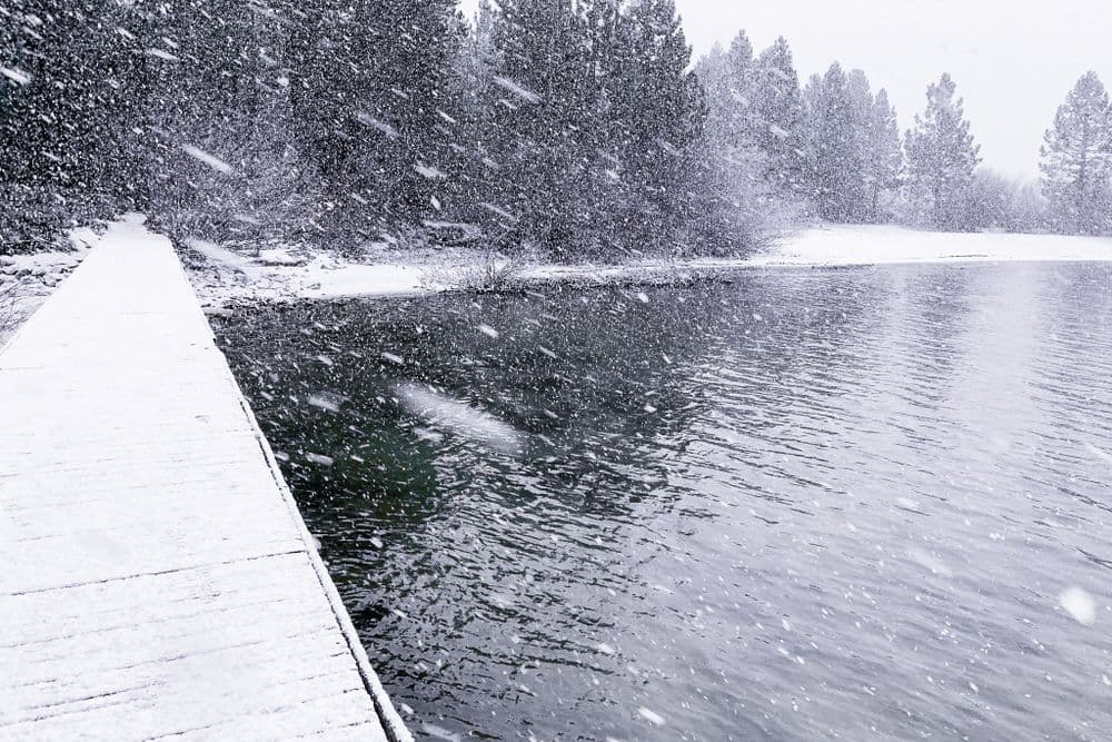 Tahoe Blizzard - 2020-12-01T00:00:00Z