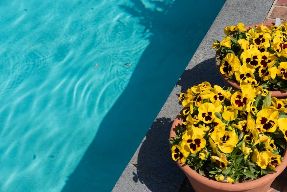 Filoli Pool - 2022-05-01T00:00:00Z