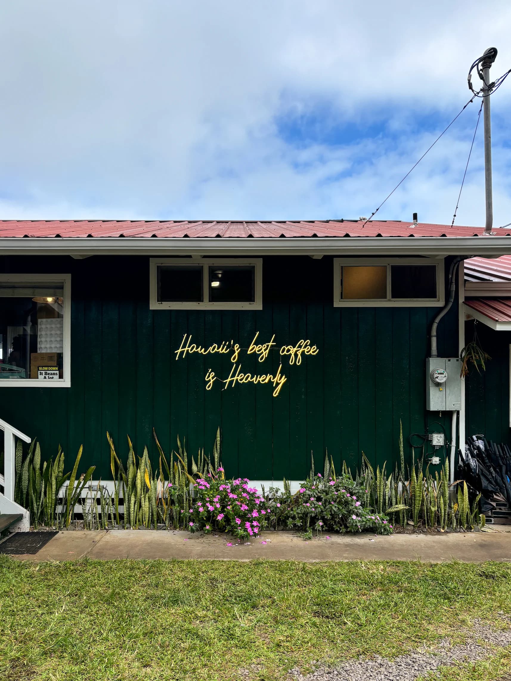 Heavenly Hawaiian - 2024-07-15T16:18:11Z