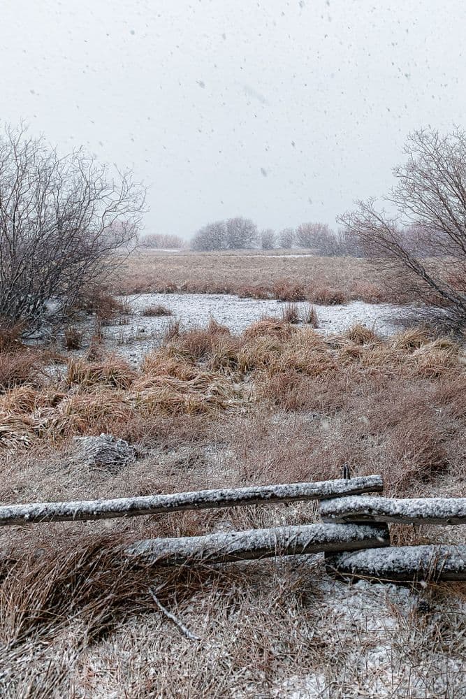 Tahoe Meadow - 2020-12-01T00:00:00Z