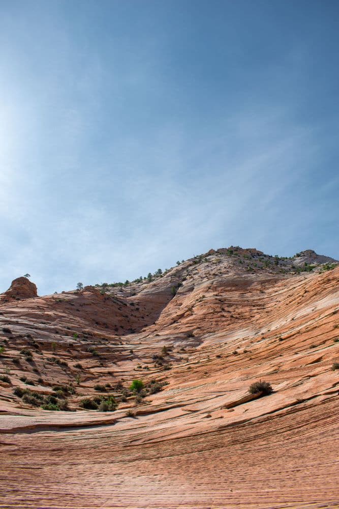 Rock Wave - 2020-05-01T00:00:00Z