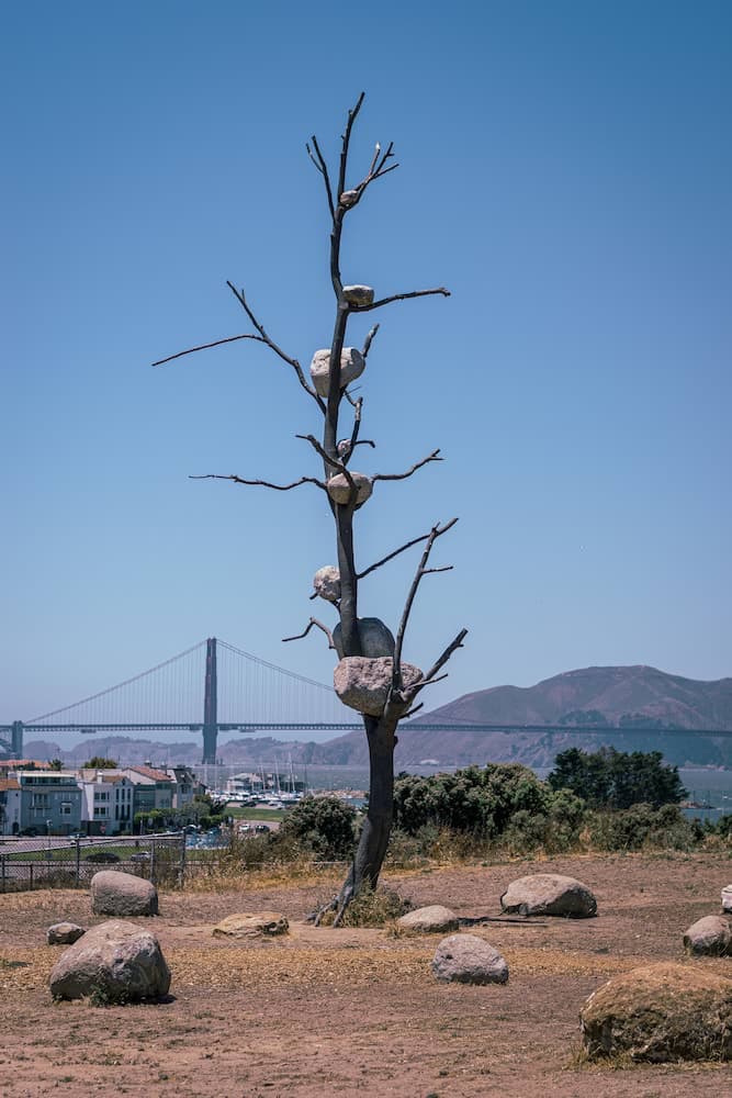 SF Rock Tree - 2020-09-01T00:00:00Z