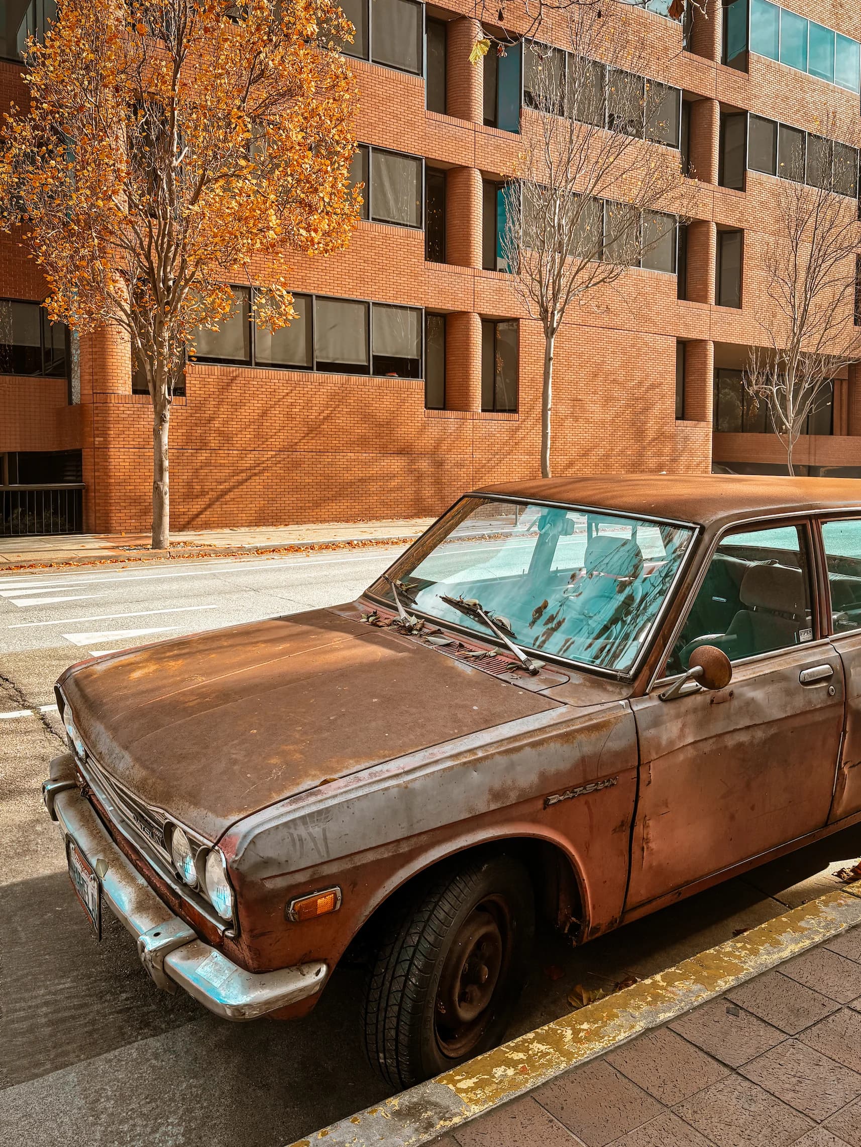 Rust Bucket - 2024-11-30T20:24:37Z