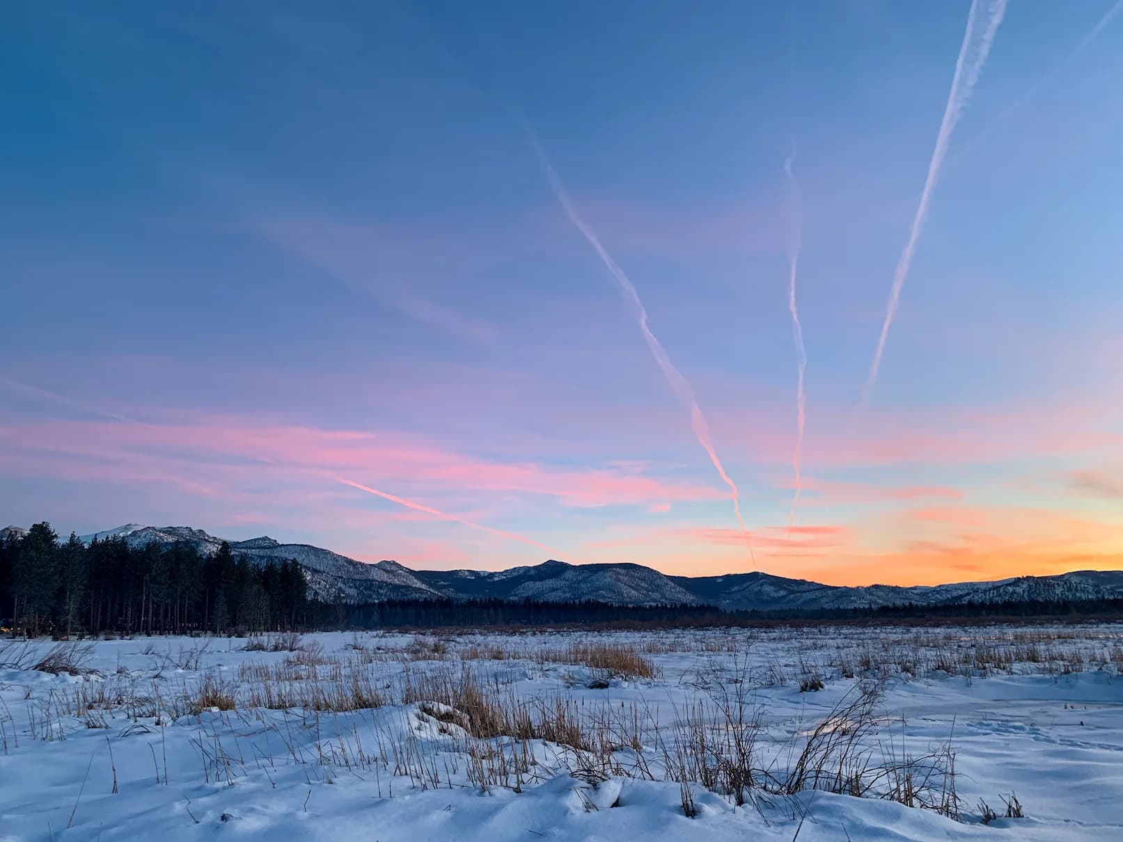 Tahoe Meadow - 2022-12-25T01:00:00Z