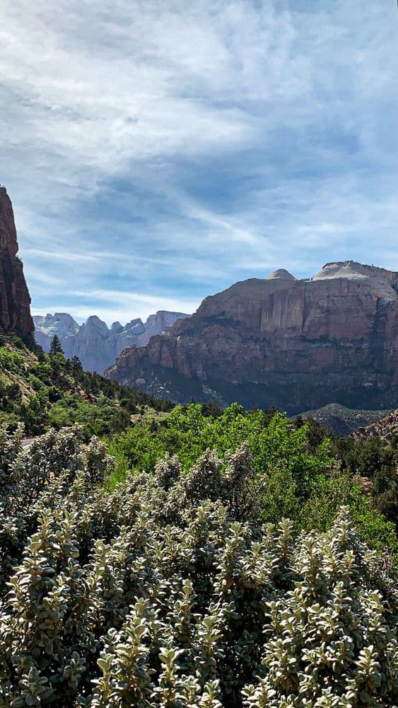 Zion 1 - 2020-05-01T00:00:00Z