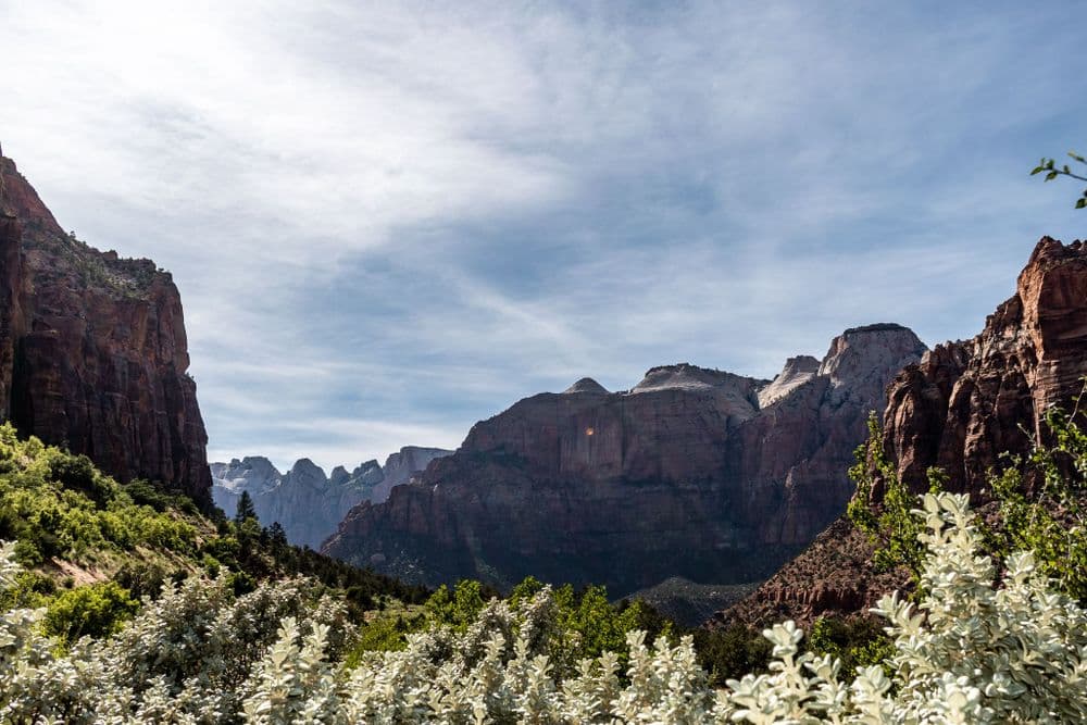 Zion 2 - 2020-05-01T00:00:00Z